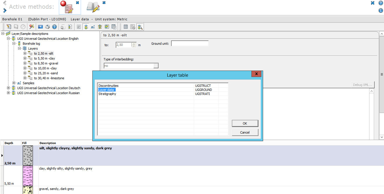 Layer data in three languages with selection window for additional stratigraphy and discontinuities masks